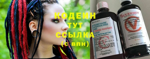 хмурый Покачи