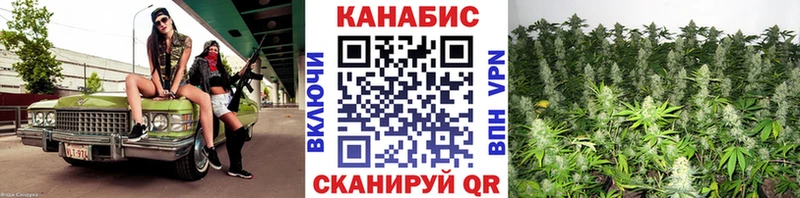 Канабис MAZAR  Шилка 